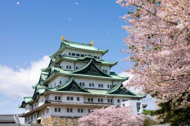 【※ご注意】こちらは冗談の紹介文です。実際には名古屋城には住めません！の外観