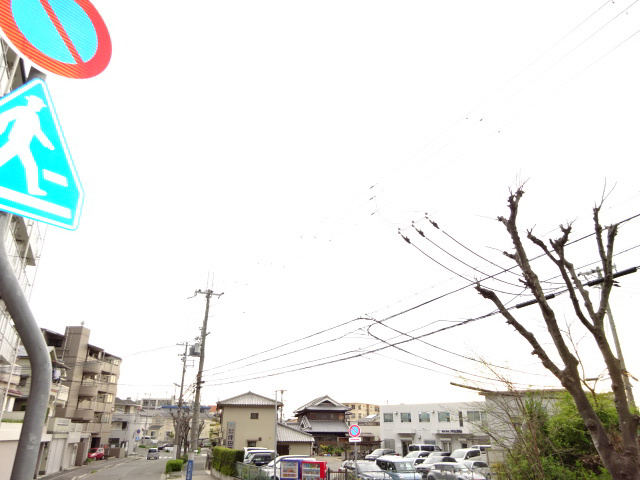 ロイヤルアークの展望