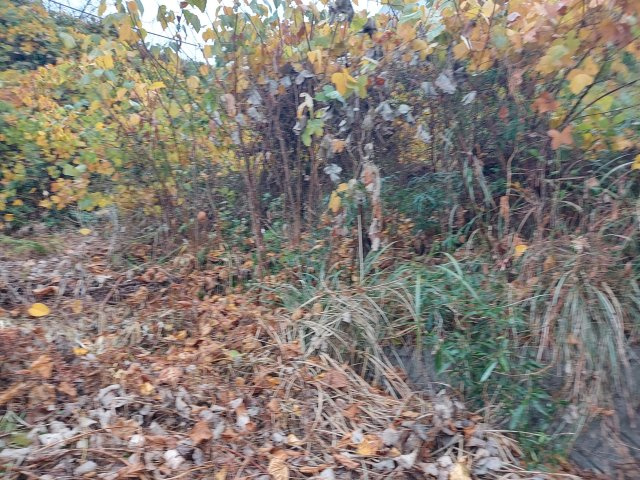 上万呂売地の外観