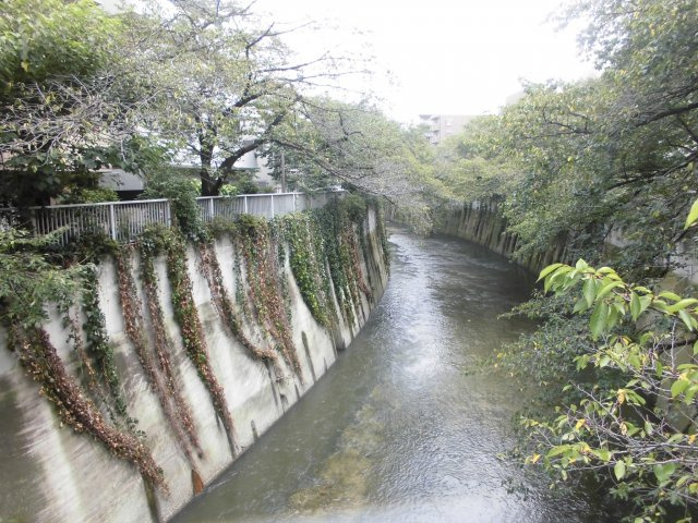 フォレステージ西早稲田の周辺
