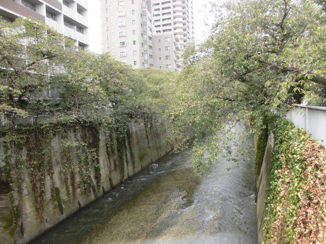 フォレステージ西早稲田の周辺
