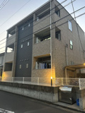 クローバー の画像