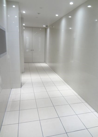 【その他共用部分】Desire Palece (ディザイアパレス） 