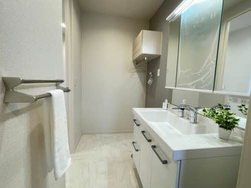 和泉市伯太町２丁目のハイツの洗面所