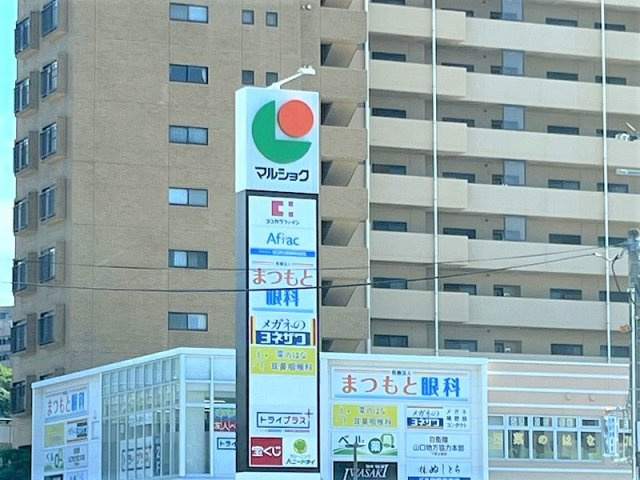 レオパレスサンフラワー向洋の周辺