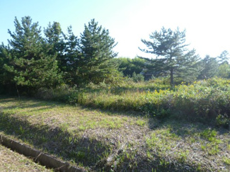 【外観】 | 野洲市菖蒲　売土地