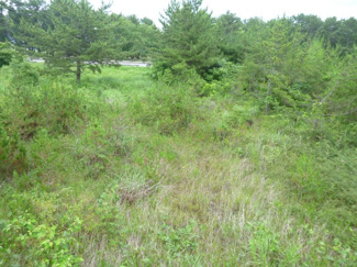 【外観】 | 野洲市菖蒲　売土地