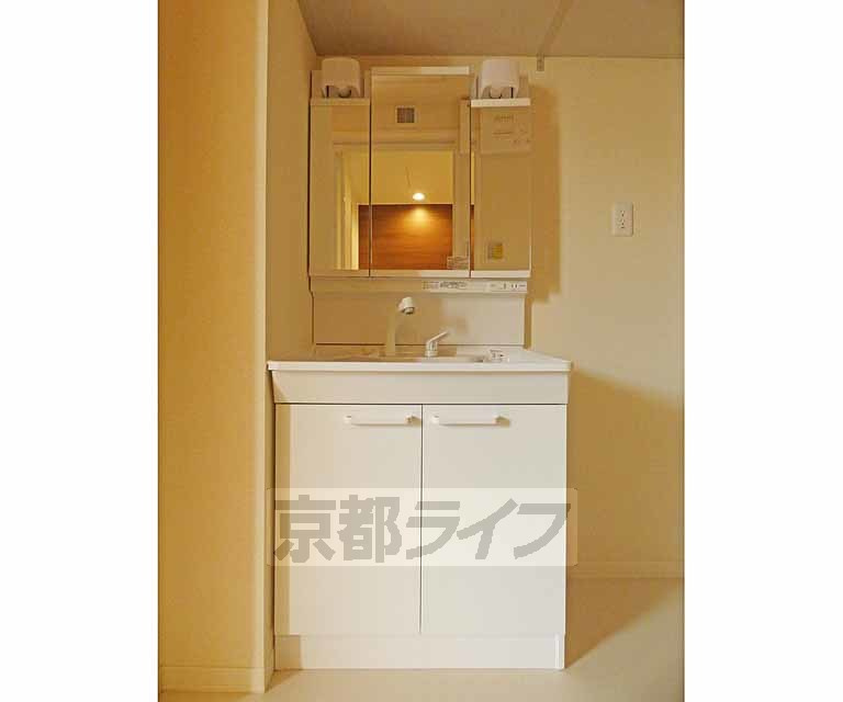 メゾングレイスの洗面所