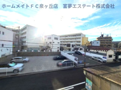 【展望】 | F asecia kanoa（エフアセシアカノア）