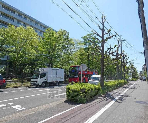 ノースカナル紫明のその他|周辺環境。