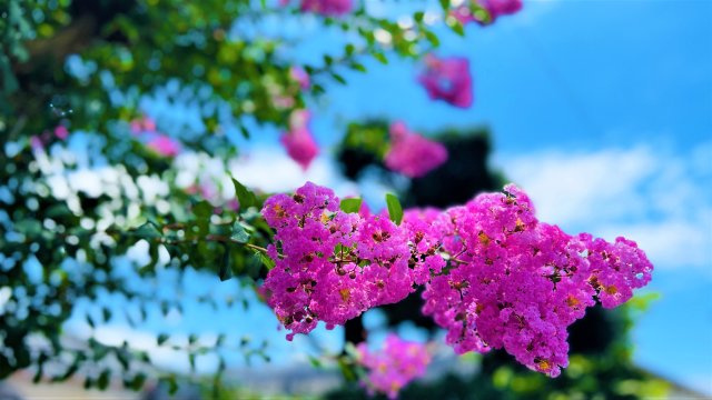 エスポワヒルズのその他