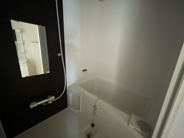 エレアージュ東姫路駅前の浴室