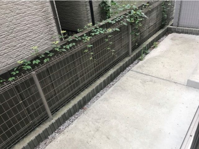 【庭】 | ダブルクインテット