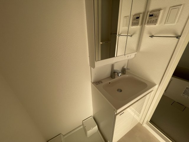S-RESIDENCE江坂Libleの洗面所