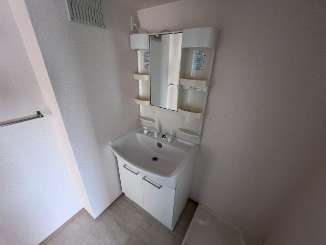ヴァンドミール流田の洗面所