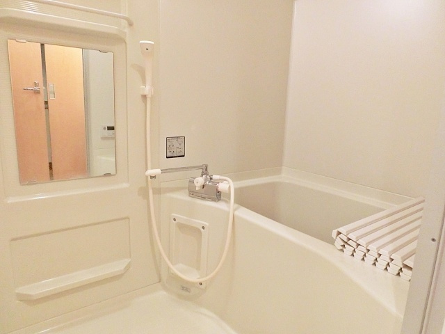 エステムコート難波Ⅱアレグリアの浴室