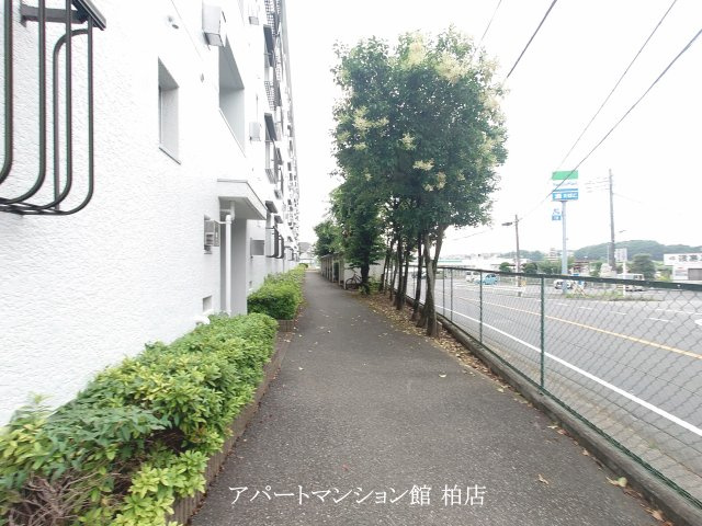 柏沼南台サンパワーA棟のその他