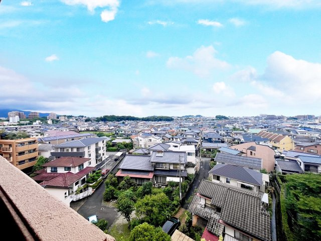 ダイアパレス大橋南壱番館の展望
