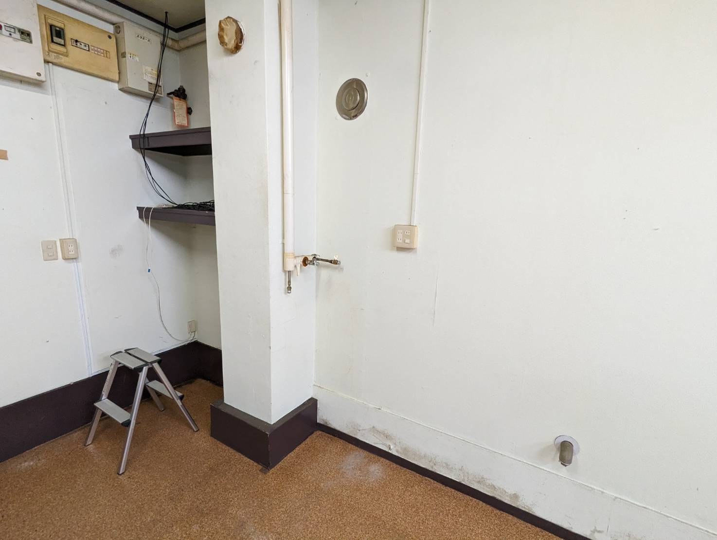 AK愛国のその他