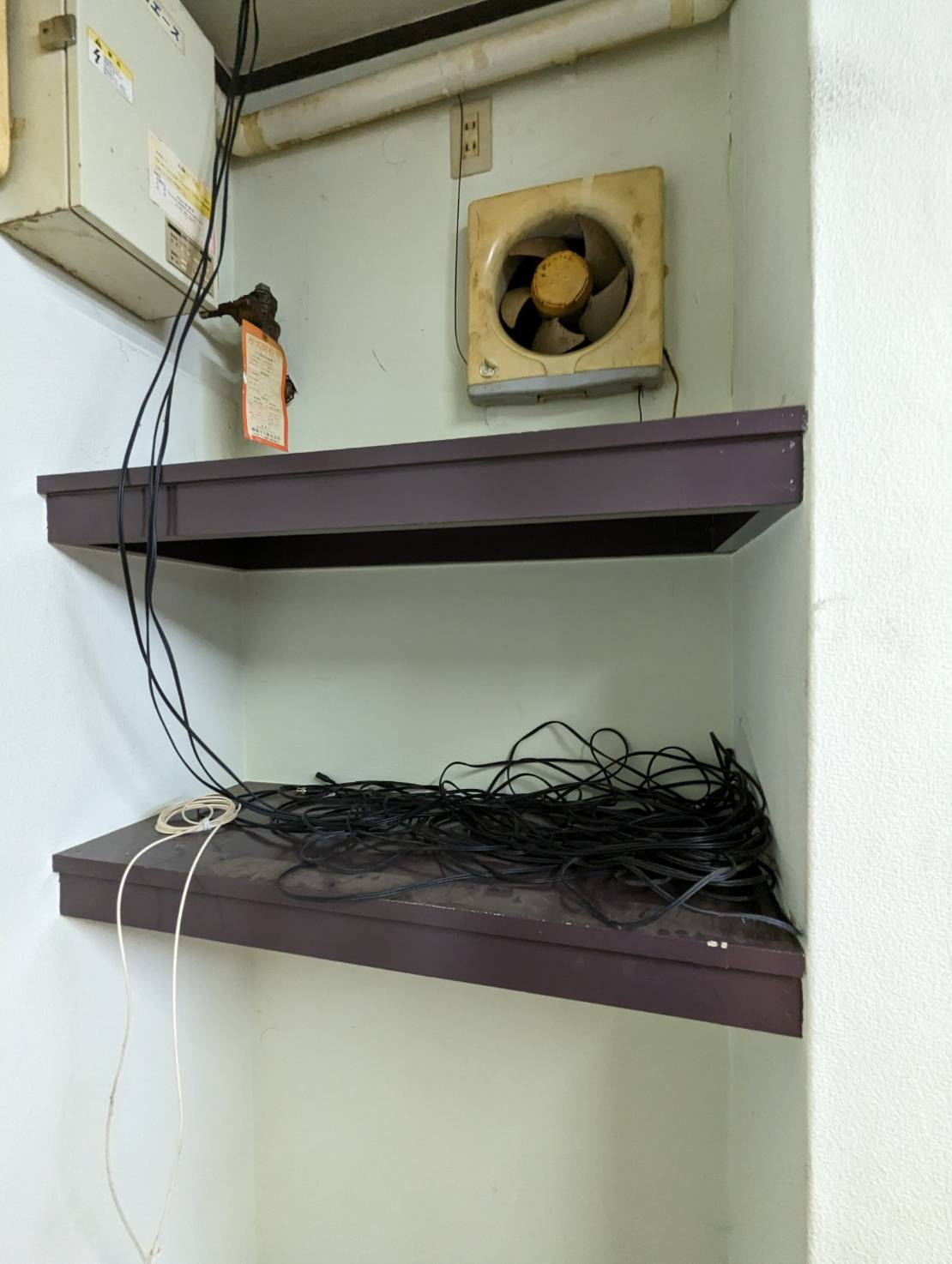 AK愛国のその他