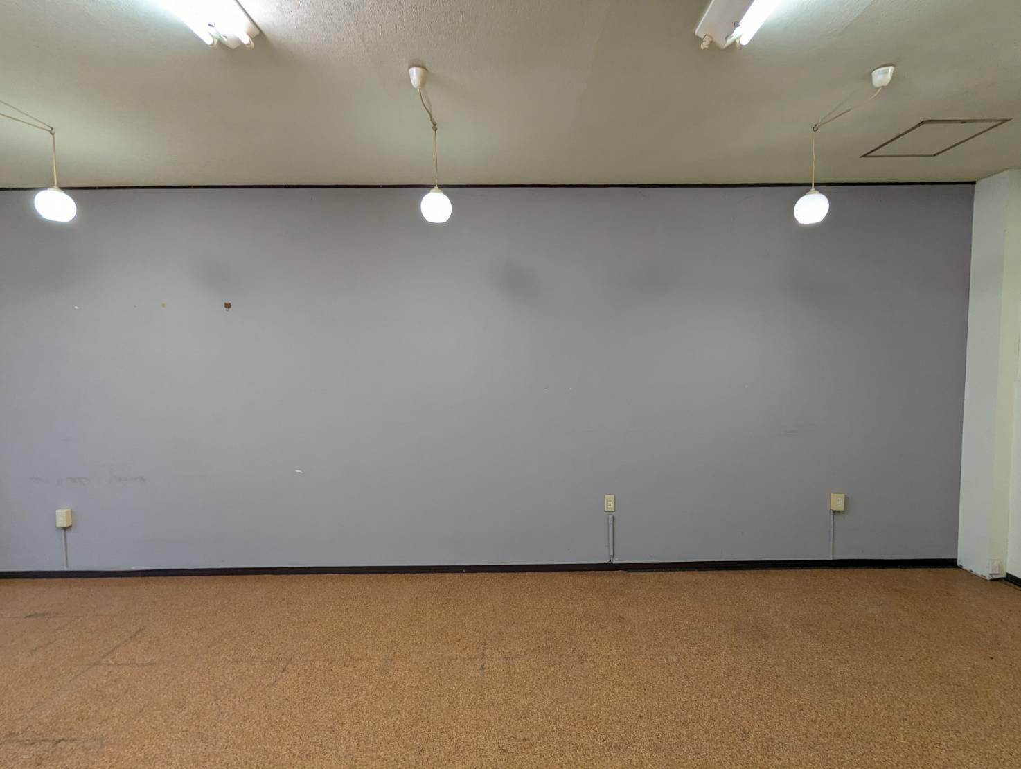 AK愛国のその他