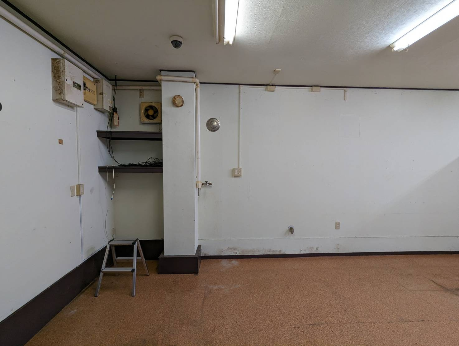 AK愛国のその他