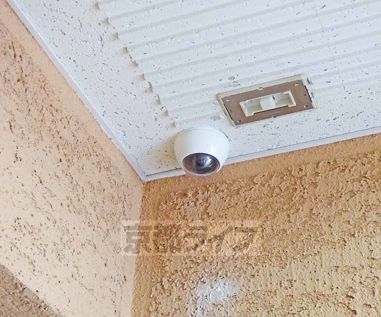 グランブルーのセキュリティ