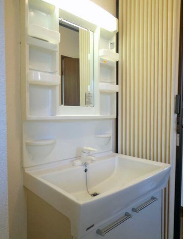 坂戸市鶴舞戸建貸家の独立洗面台|2F