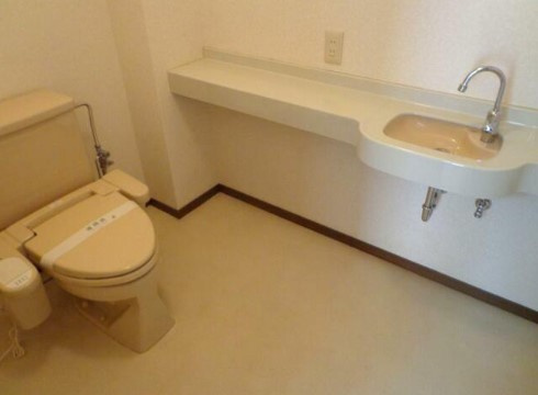 坂戸市鶴舞戸建貸家のトイレ|1F