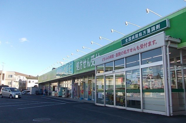ポスト・プリートの周辺|ドラックエース箭弓町店.まで830m