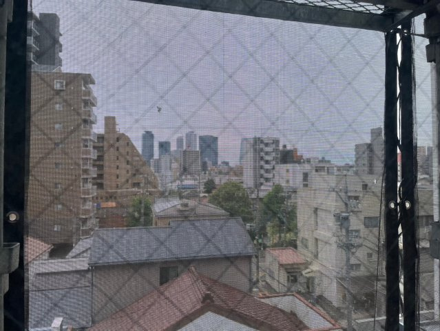 CREA花の木の展望|CREA花の木