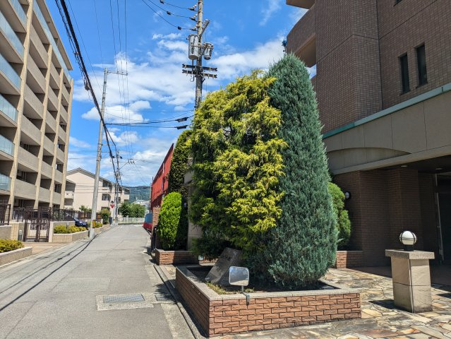 ジェイシティ持田の外観|植栽まで整っている住まい
緑があると心落ち着きますね