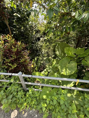 【周辺】 | 汀良売土地