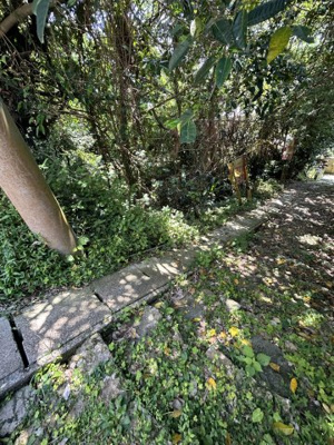 【周辺】 | 汀良売土地