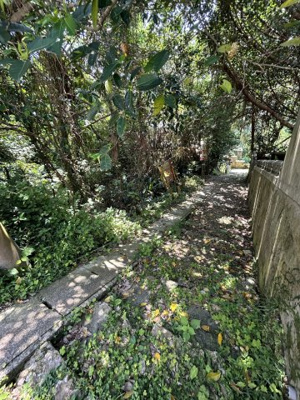 【周辺】 | 汀良売土地