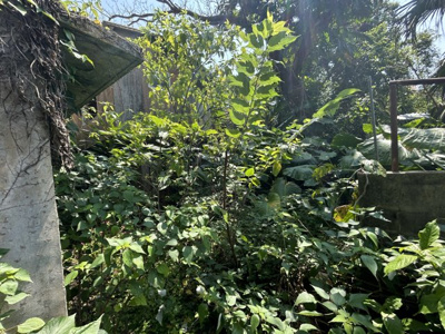 【周辺】 | 汀良売土地