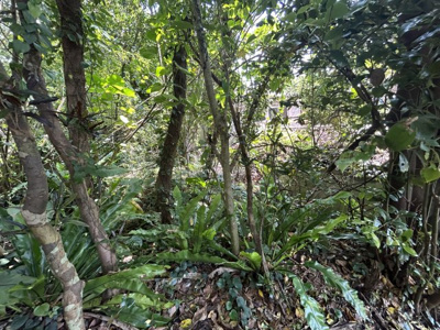 【周辺】 | 汀良売土地