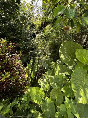 【周辺】 | 汀良売土地