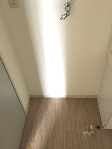 エリタージュ小松原のその他|室内洗濯機置き場