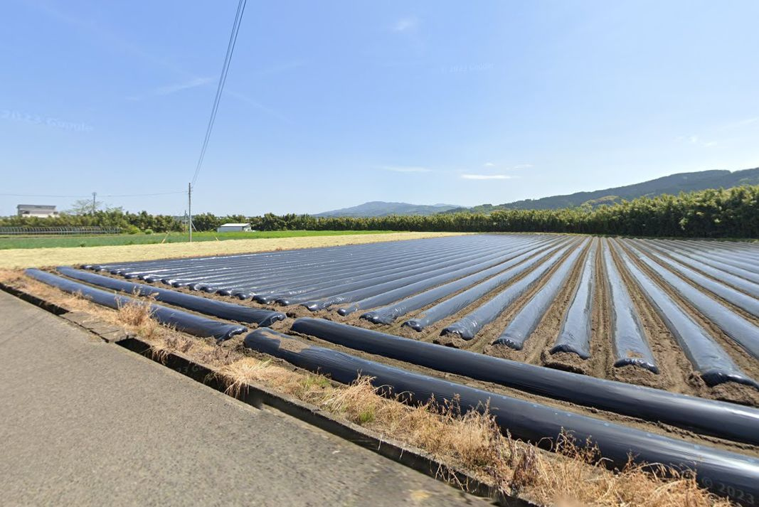 北諸県郡三股町大字樺山の売地の外観