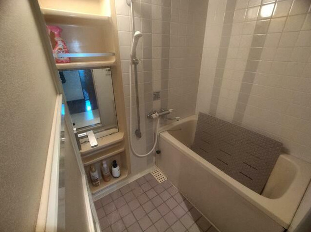 ライオンズプラザ松山大手町のその他