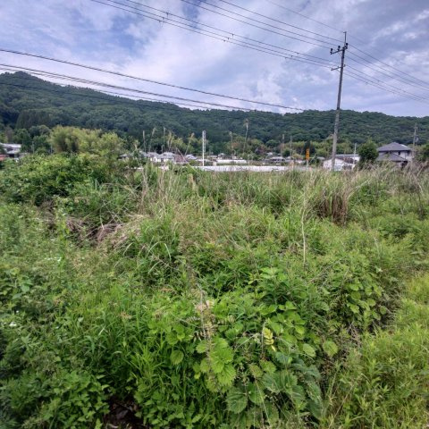 亀岡市薭田野町奥條門田　農地