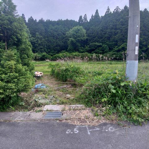 亀岡市薭田野町奥條門田　農地