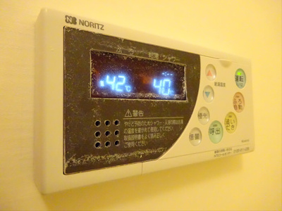 【その他】 | アンプルールフェールドゥイズミ