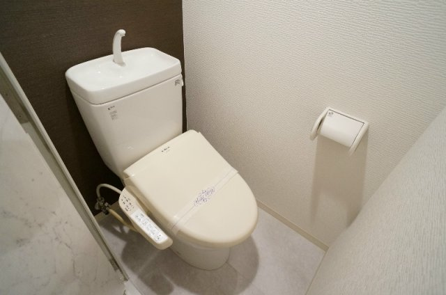 ビューハイツ京都山科のトイレ