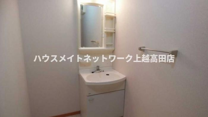 ロイヤルタウン寺町 貮番館の洗面所|洗面化粧台