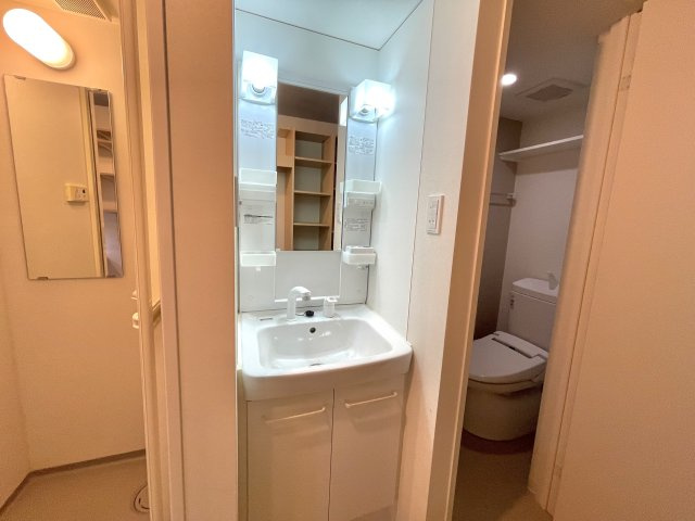 ドーミー百万遍アネックスの洗面所