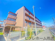 HAPUNA高石の画像