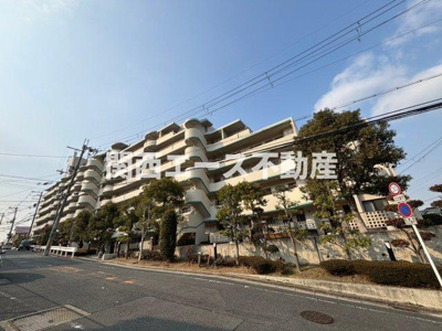  | ディオフェルティ石切