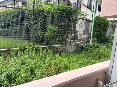 【展望】 | ジェイパークウェル中村橋